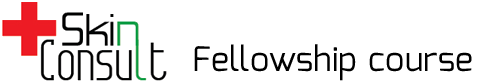 skinconsult-logo